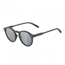 Ochelari de soare Alpina Sneek Black Matt/Mirror Black