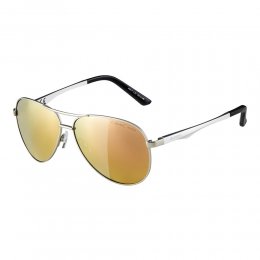 Ochelari de soare Alpina A 107 silver matt