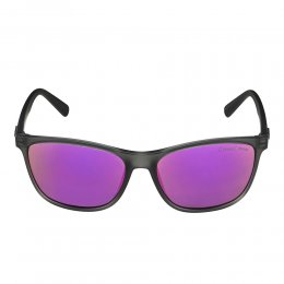 Ochelari de soare Alpina Jaida Grey Transparent Matt