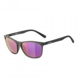 Ochelari de soare Alpina Jaida Grey Transparent Matt