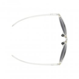 Ochelari de soare Alpina Nacan II Transparent Gloss Smoke