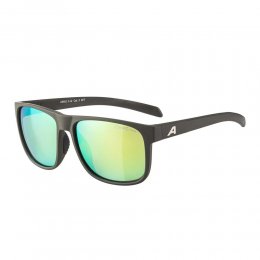 Ochelari de soare Alpina Nacan III Coffee-Grey Matt/Mirror Yellow