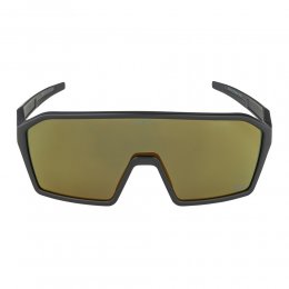 Ochelari de soare Alpina Ram Black Matt Q-Lite Mirror Gold