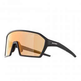 Ochelari de soare Alpina Ram Black Matt Q-LITE V Silver