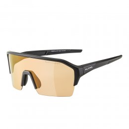 Ochelari de soare Alpina Ram HR Black Matt Q-LITE V Silver