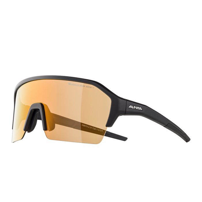 Ochelari de soare Alpina Ram HR Black Matt Q-LITE V Silver