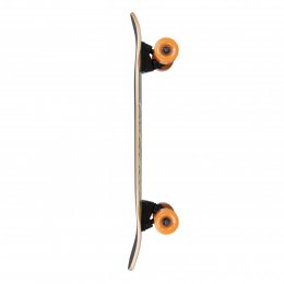 Cruiser Arbor Artist Pocket Rocket Multi 2021