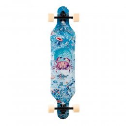 Longboard D Street Reef Multi