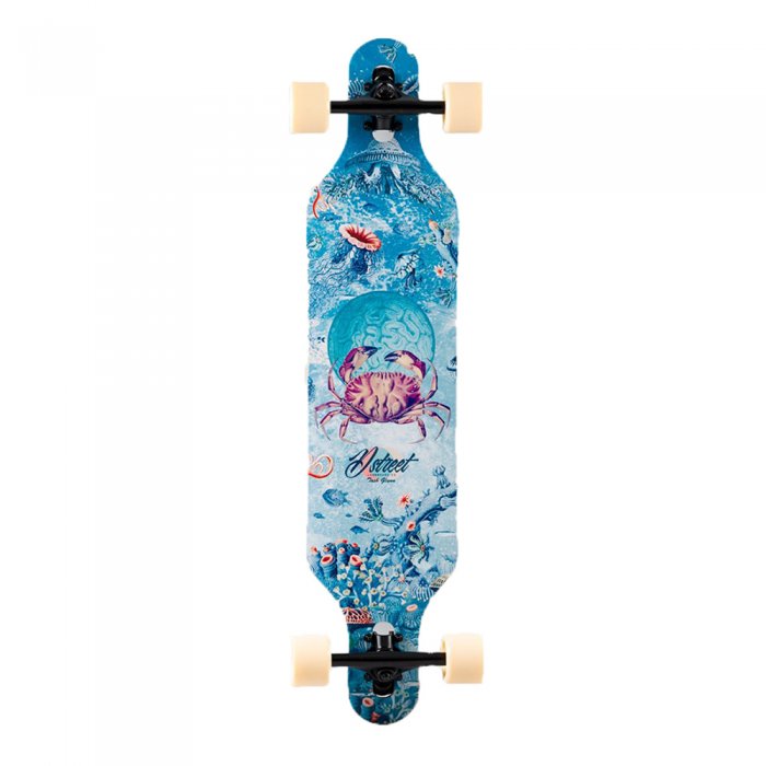 Longboard D Street Reef Multi