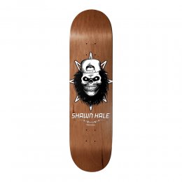 Deck Skateboard Birdhouse Pro Hale Skull Brown 8.5inch