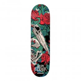 Deck Skateboard Birdhouse Pro Greyson Fletcher Tillbrook Multi 8.88inch