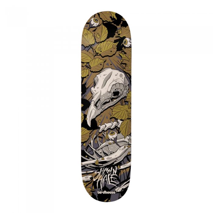 Deck Skateboard Birdhouse Pro Shawn Hale Tillbrook Multi 8.75inch
