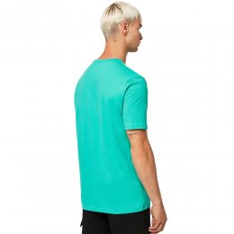 Tricou Oakley Above And Below Green