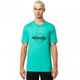 Tricou Oakley Above And Below Green