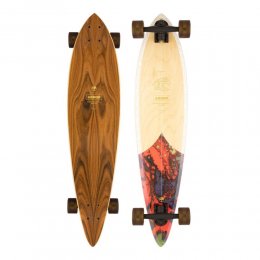 Longboard Arbor Groundswell Fish Multi S23