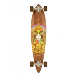 Longboard Arbor Solstice B4BC Fish Multi SS25