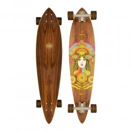 Longboard Arbor Solstice B4BC Fish Multi SS25