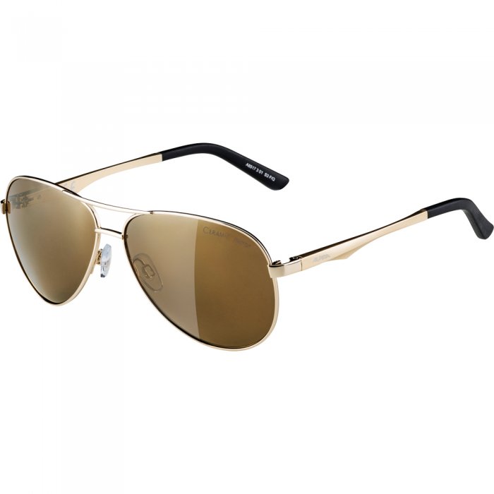 Ochelari Alpina A 107 Gold/Gold Mirror