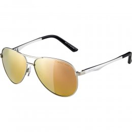 Ochelari Alpina A 107 silver matt