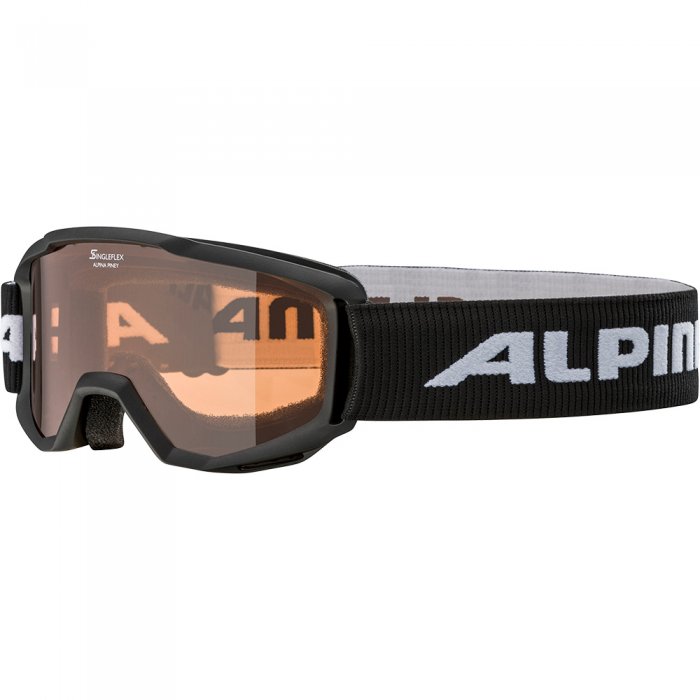 Ochelari Alpina Piney black