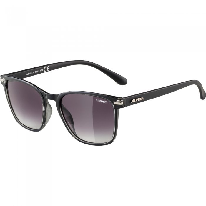 Ochelari de soare Alpina Yefe Black/Black Gradient