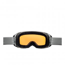 Ochelari Alpina Big Horn Q-LITE black-moongrey/green