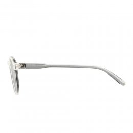 Ochelari de soare Alpina Sneek Transparent Gloss