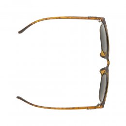 Ochelari de soare Alpina Yefe Havana Gloss/Green
