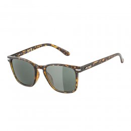 Ochelari de soare Alpina Yefe Havana Gloss/Green