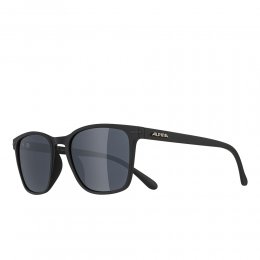 Ochelari Alpina Yefe All Black Matt