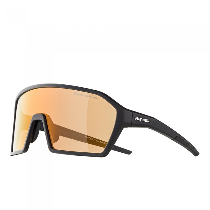 Ochelari Alpina Ram Black Matt Q-LITE V Silver