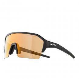 Ochelari Alpina Ram HR Black Matt Q-LITE V Silver