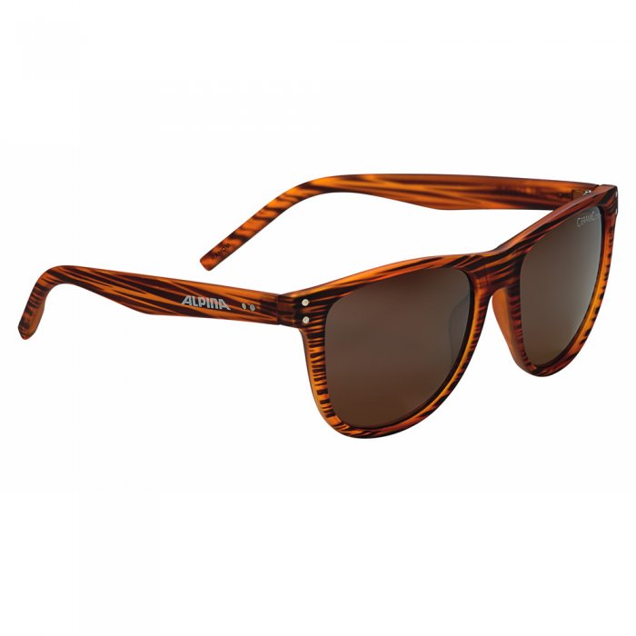 Ochelari de soare Alpina Ranom havana matt CMBR