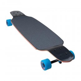 Longboard Santa Cruz Decoder Roskopp Drop Thru Multi