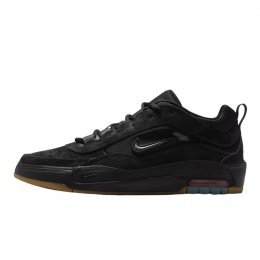 Incaltaminte Nike SB Air Max Ishod Black/Black