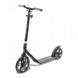 Trotineta Frenzy Scooter FR250 black