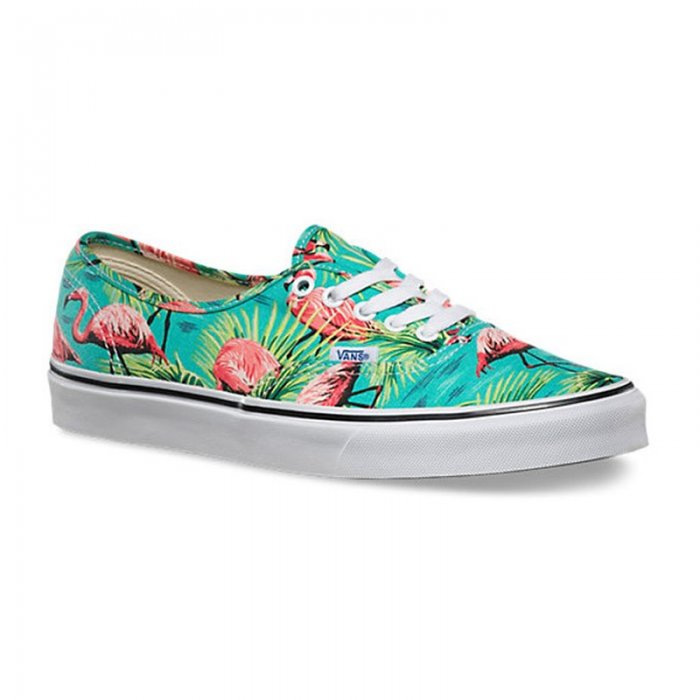 Shoes Vans Authentic Van Doren Turquoise Flamingo