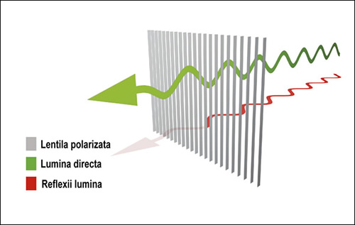 Lentila polarizata Quattroflex