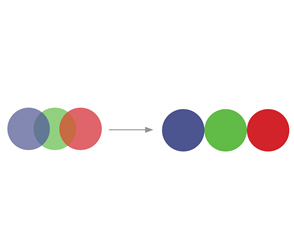 Lentile Smith ChromaPop